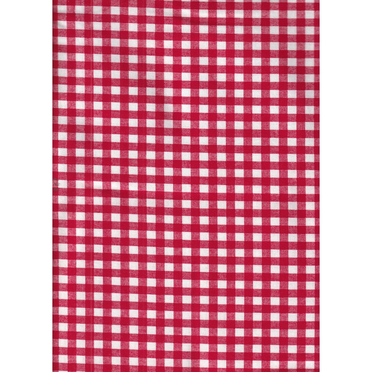 Santee Printed Cottons Large Check - Lipstick – 8 Yard Bolt – 100% Cotton