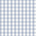 Springs Creative Novelty Love Grows Here - Gingham – 8 Yard Bolt – 100% Cotton