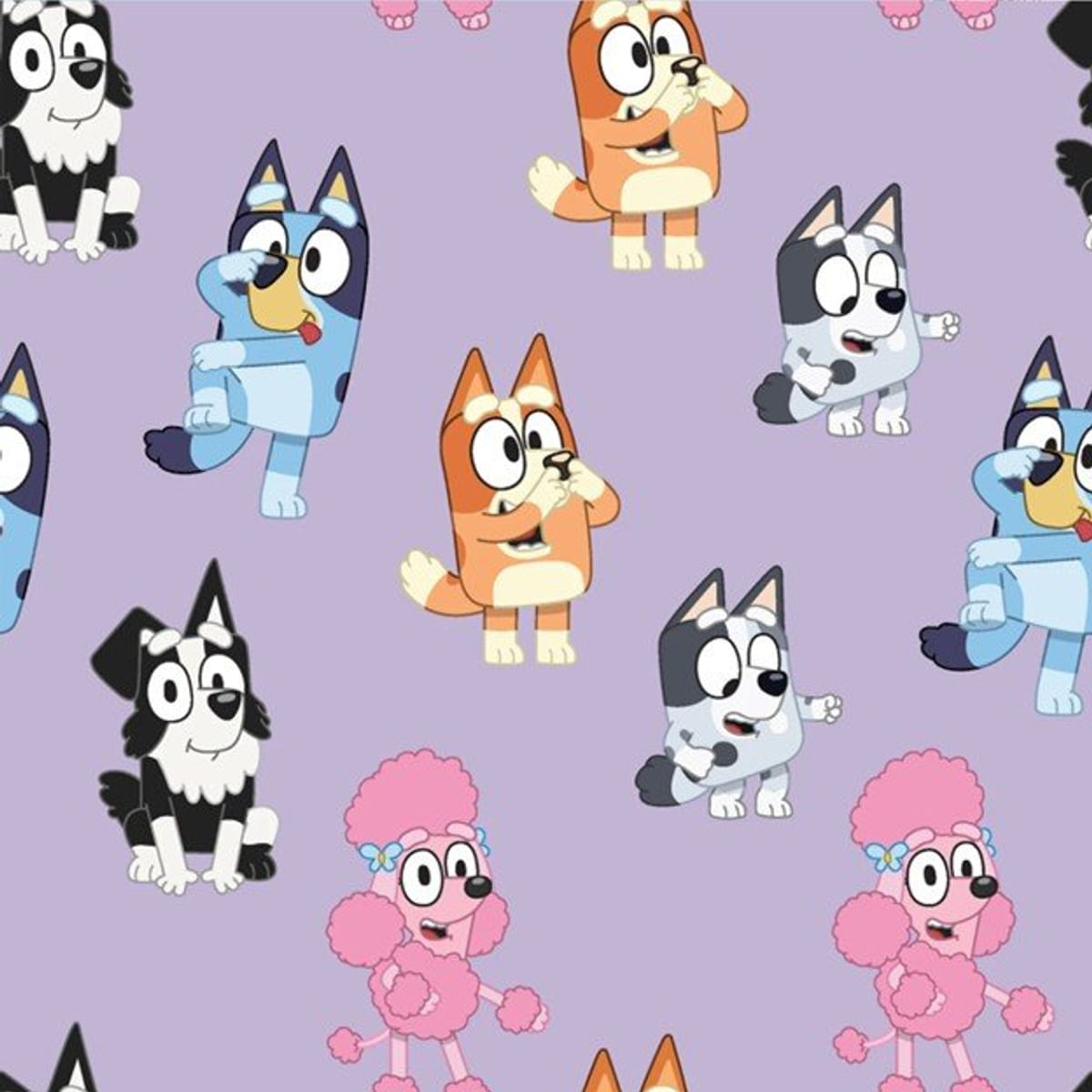 Springs Creative Cottons Playful Bluey – 8 Yard Bolt – 100% Cotton