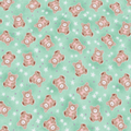 Teddy Bears and Stars on Mint Green